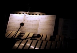 Landesjugendchor Rheinland-Pfalz „Zauber der Nacht“